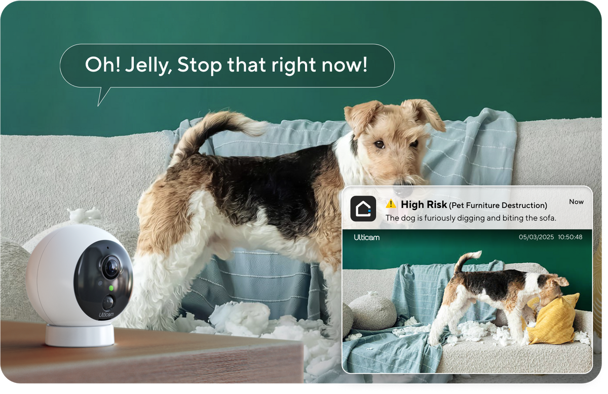 智能门锁无钥匙进入功能