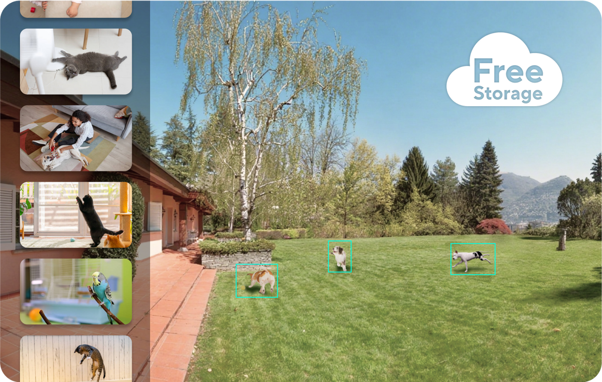 管理员代码管理界面