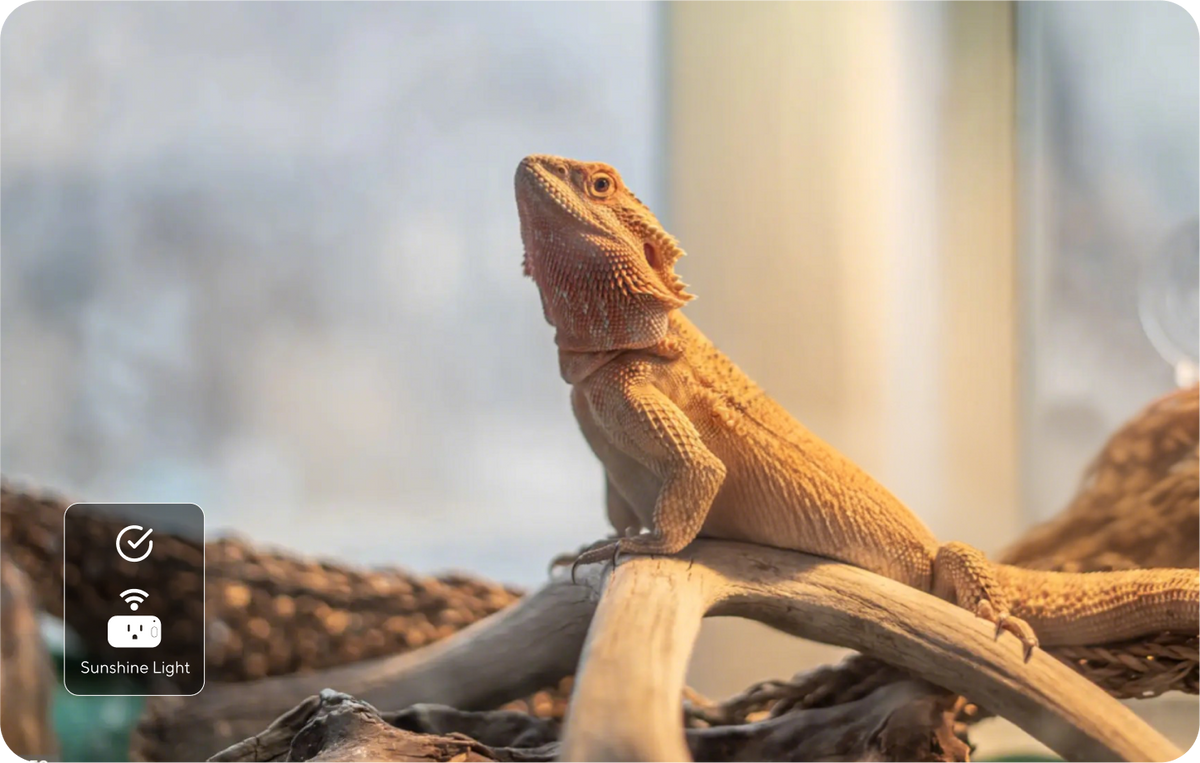 智能门锁无钥匙进入功能